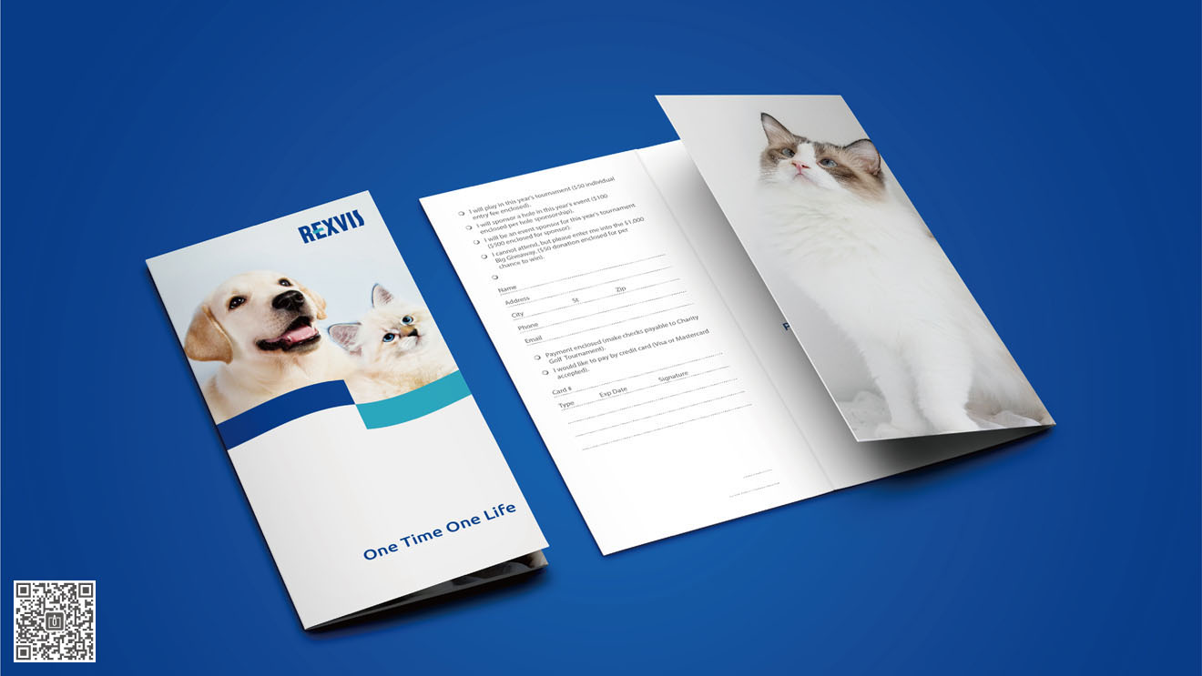 REXVIS力維士品牌&營銷包裝策劃設(shè)計(jì)