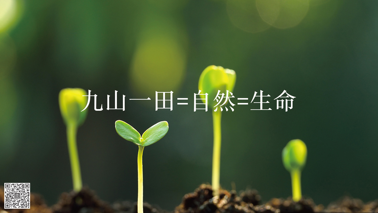 九山一田品牌&營(yíng)銷包裝策劃設(shè)計(jì)